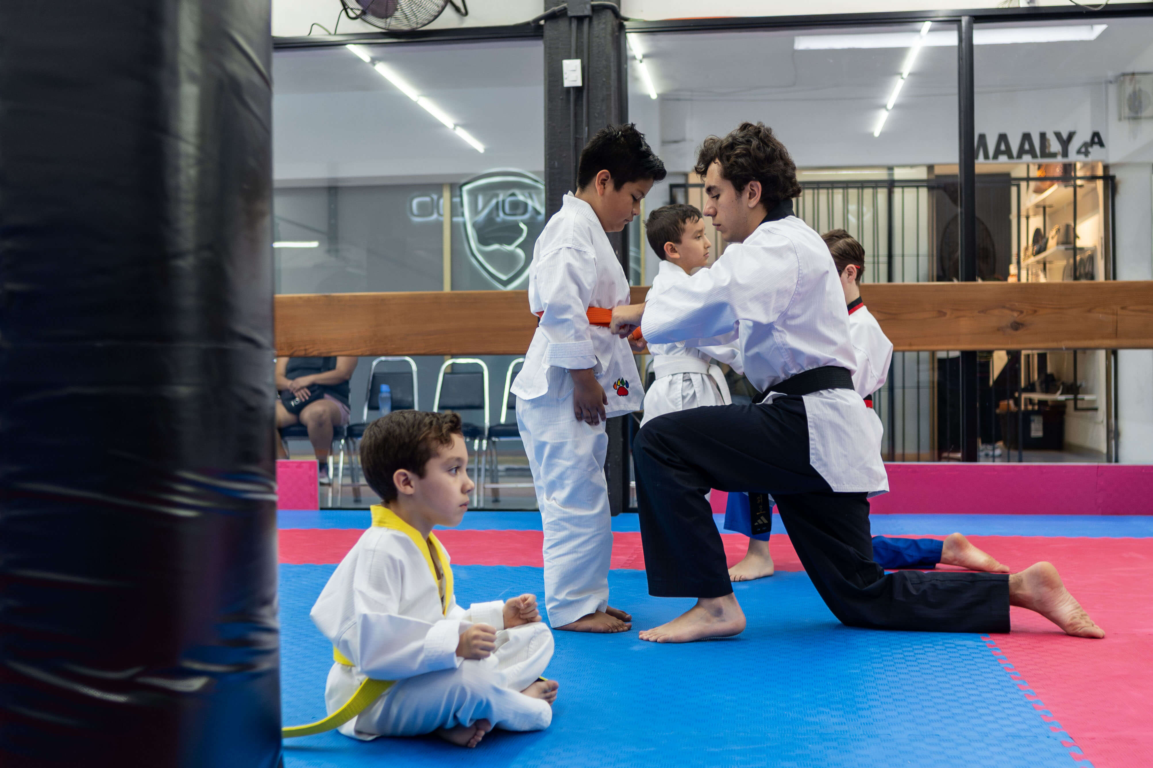 Entrenamiento de competencia